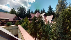 Terrain de l’hébergement 