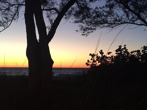 Unclassified image, 5 of 39, button