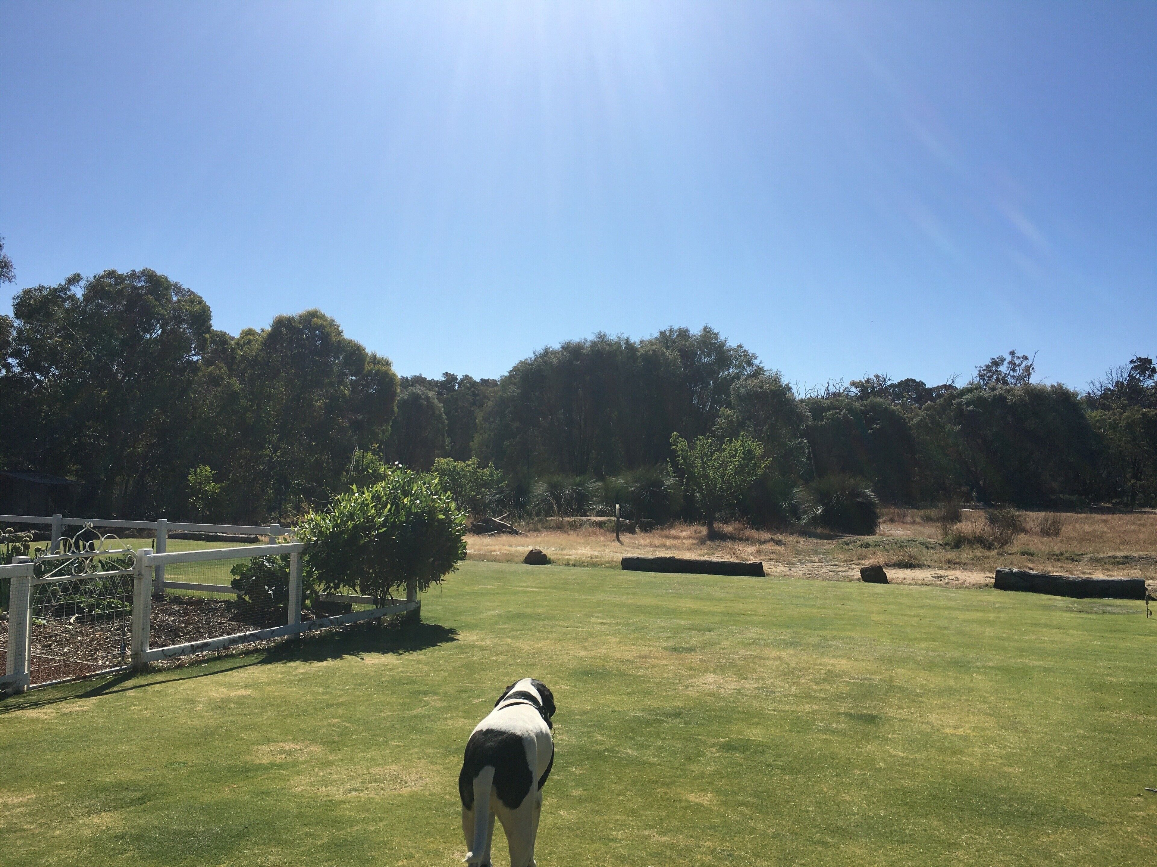 Yallingup Homestead — image 29