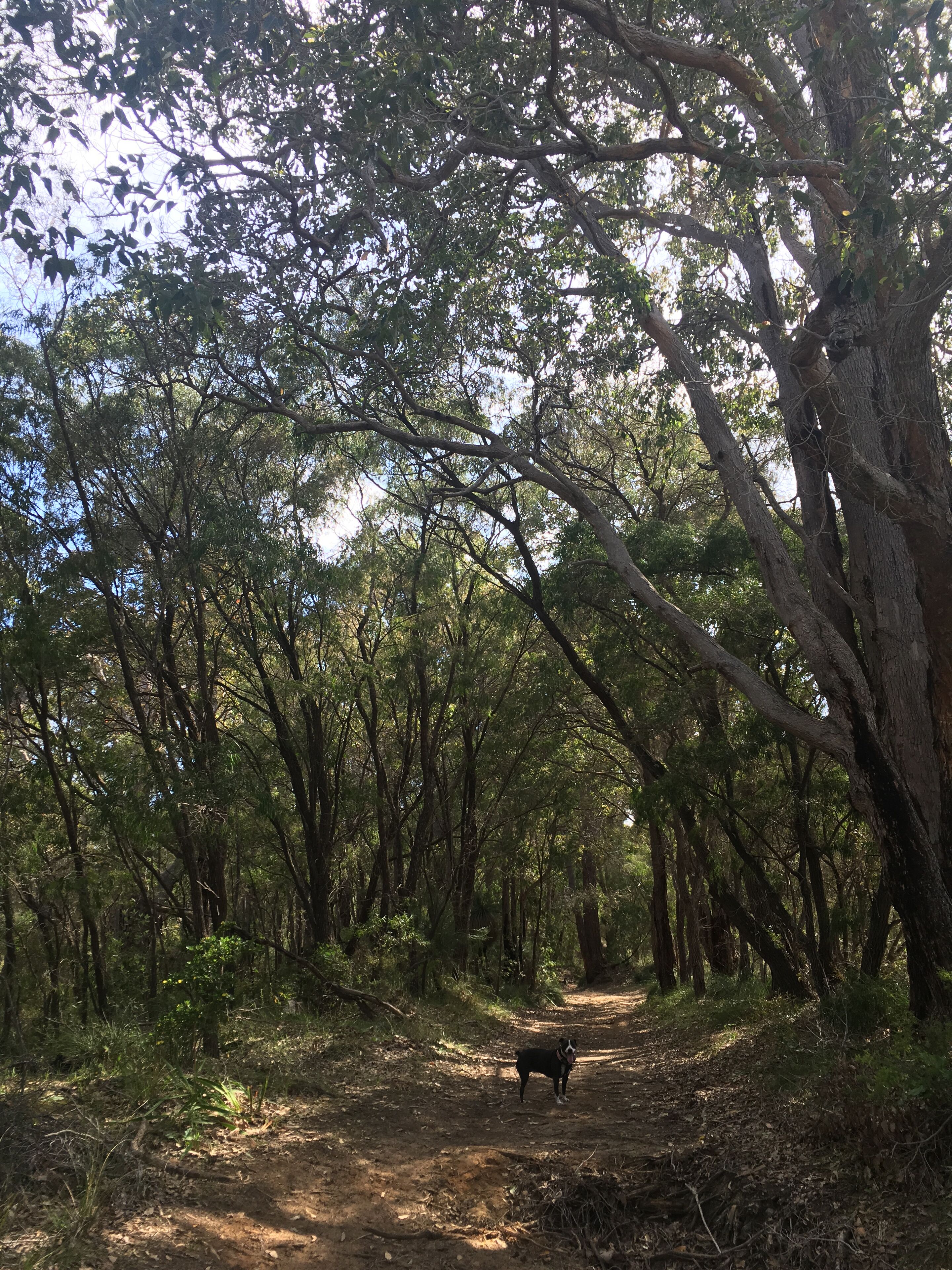 Yallingup Homestead — image 27