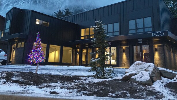 A modern building with a Christmas tree in front.