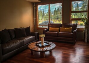 スマートテレビ、暖炉