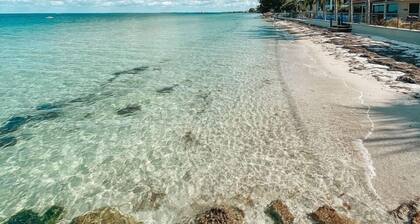 Blue Water Beach House:  5+ bdrm, 4.5 bath, Heated Pool/spa, 1.5 blocks to beach