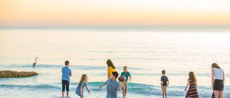 Plage à proximité, chaise longue, serviettes de plage