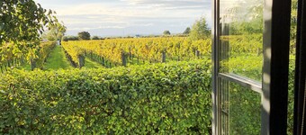 Dara Vineyard Cottage Martinborough