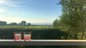 Two glasses of pink drink on a balcony with a vineyard view.
