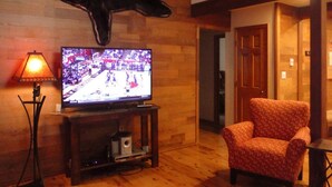 Ein Zimmer mit Holzboden, einem Fernseher auf einem Schrank, einem gemusterten Sessel und einem großen Tierkopf an der Wand.
