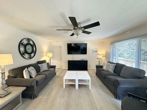 TV - Jonathan Livingston Seagull:  Dog friendly single story home. (Ocracoke)