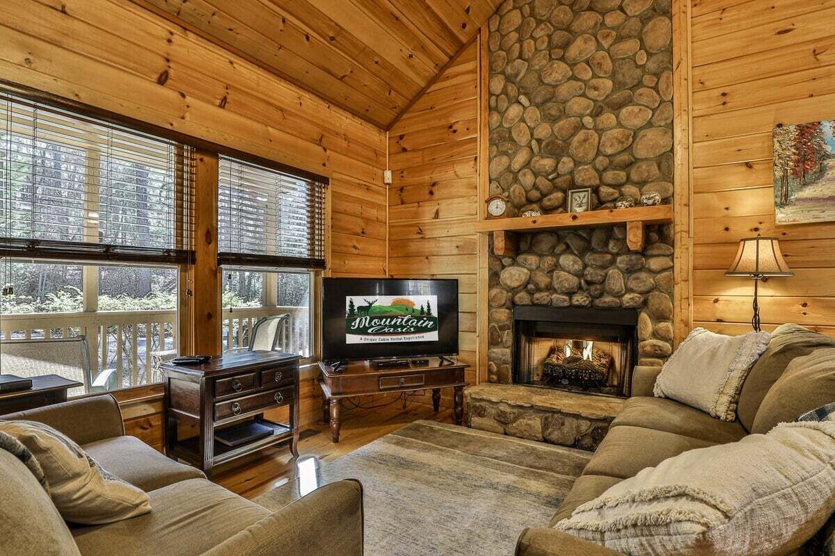 Fernseher, Kamin, DVD-Player