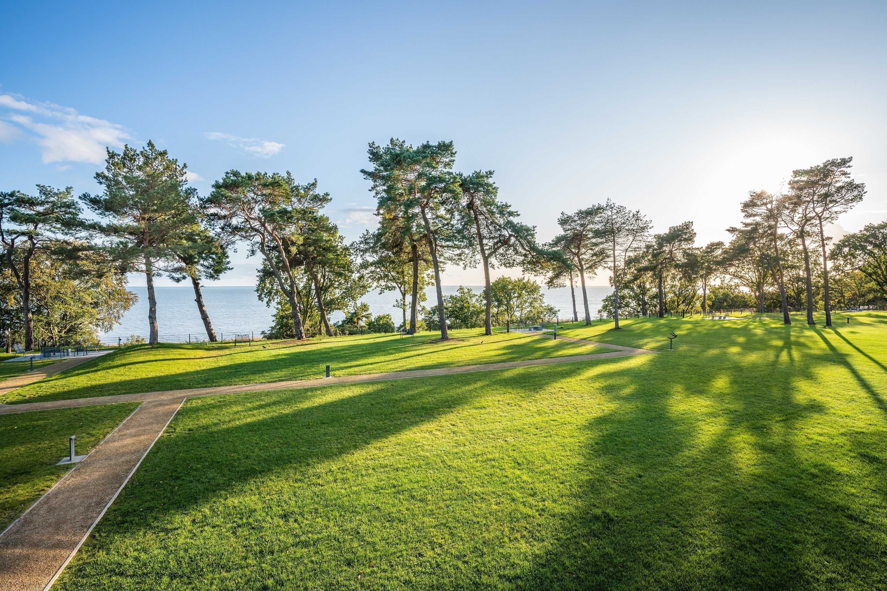 A park with a walking path, grassy areas, and tall trees.