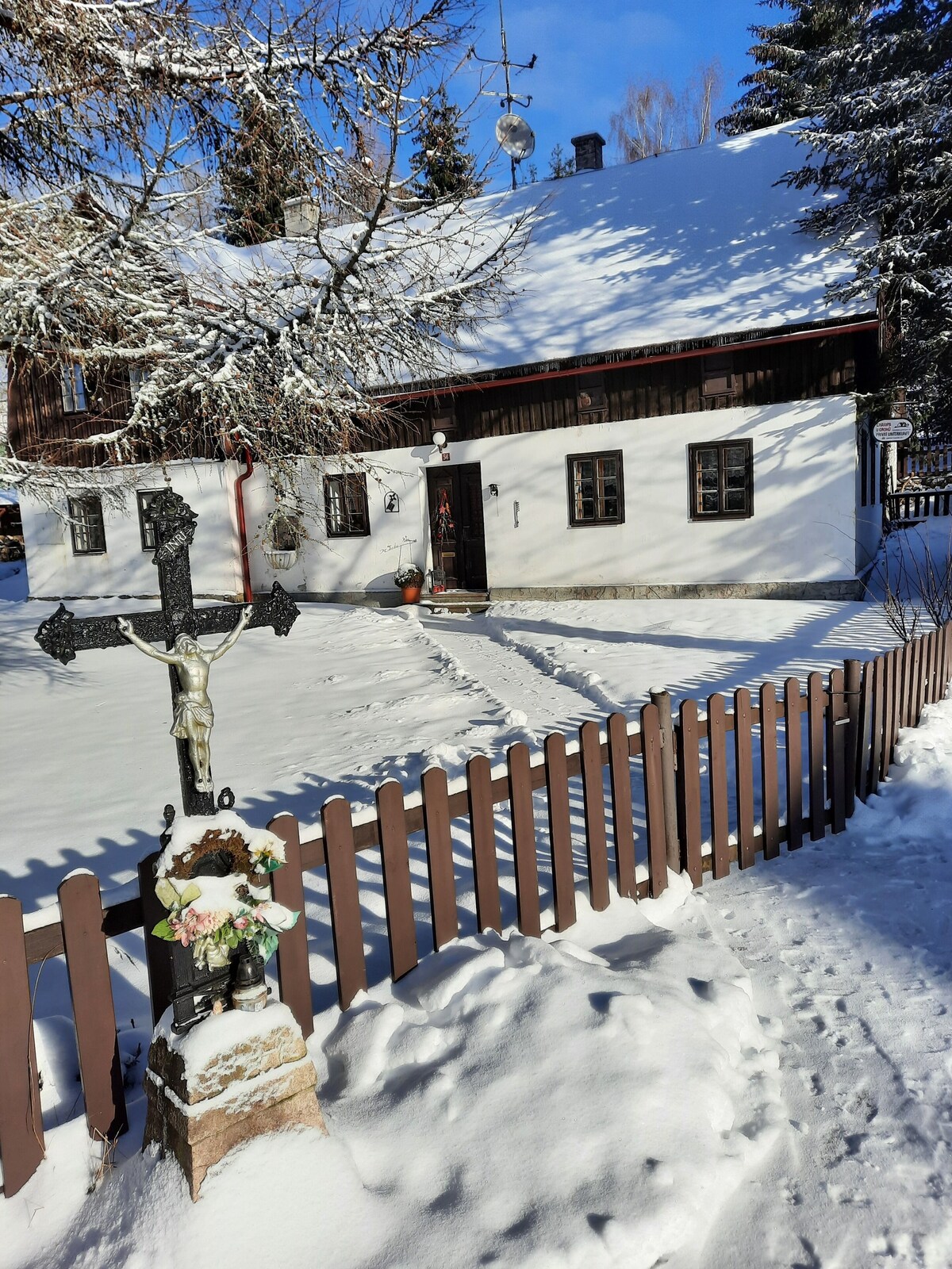 Imagen de perfil del propietario o de la propietaria