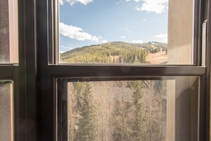 Interior - Great mountain views steps from the lifts, 2 master bedrooms (Copper Mountain)
