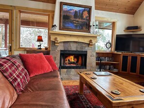 Fernseher, Kamin, DVD-Player, Bücher