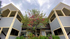Un edificio de dos pisos con fachada simétrica, un árbol central con flores rojas y un pequeño jardín con arbustos.
