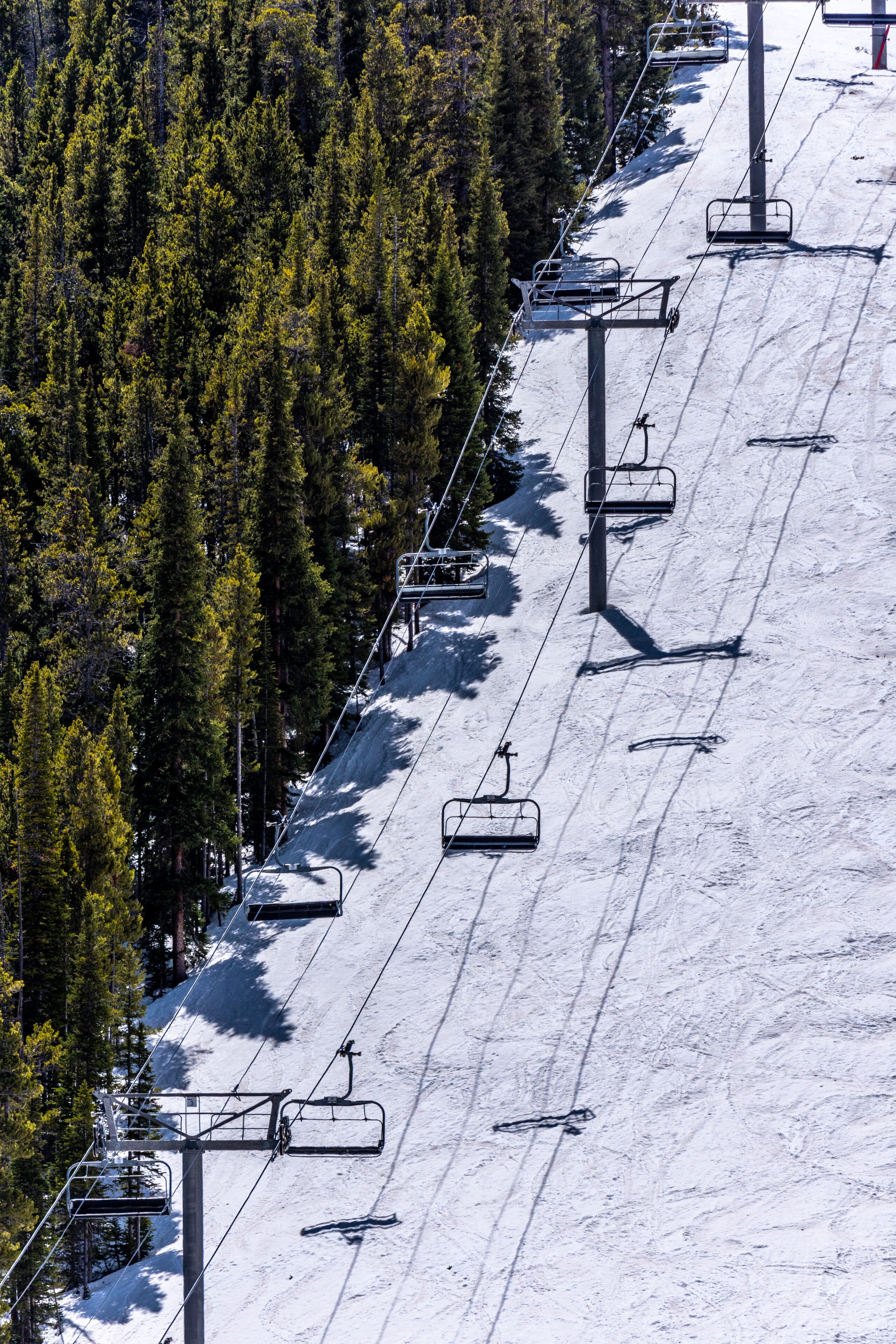 A ski lift with chairs moving up and down a snowy slope, surrounded by dense evergreen trees.