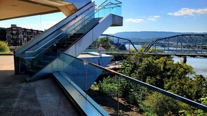 Property grounds - Log Cabin in the Clouds with a Million Dollar View - Private - Clean &  Safe! (Chattanooga)