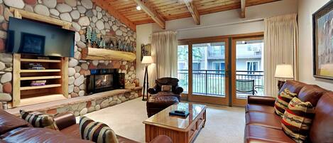 电视、壁炉、DVD 播放器、乒乓球