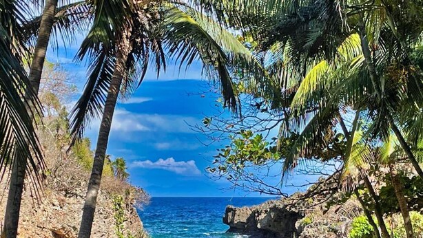 A coastal scene with palm trees, rocky cliffs, and a clear blue sea. - Spectacular Hilltop Rental for 2 w/ Private Beach, Mountain & Sea Views. (Roatan)