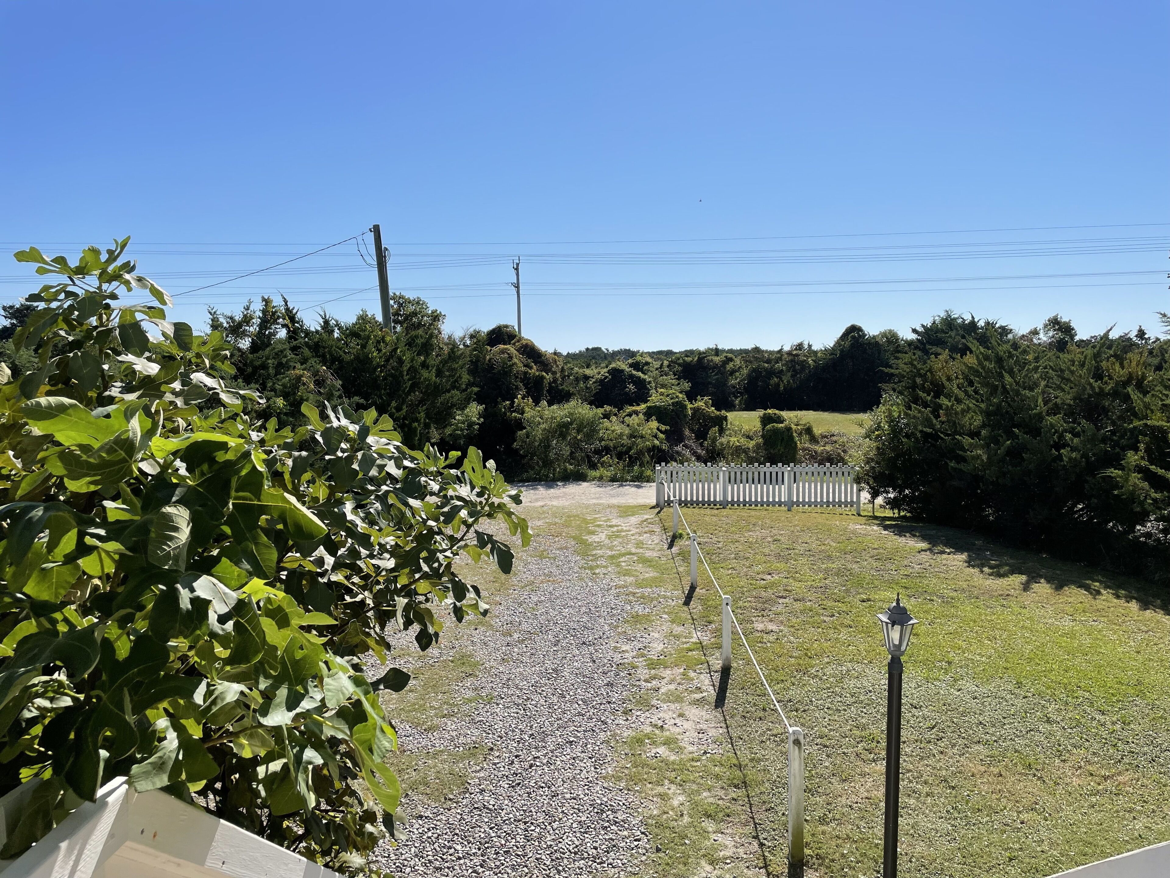 A gravel path leading to a white fence, surrounded by greenery and trees.