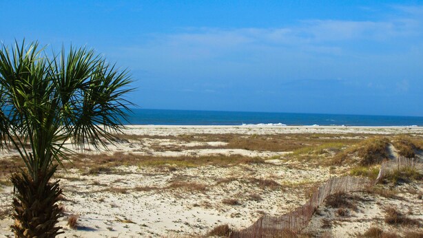 Ein Strand mit Dünen und spärlicher Vegetation.
