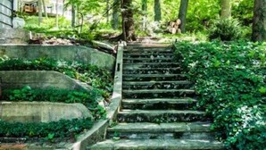 A stone staircase leading up to a house surrounded by lush greenery. - 2027 NOW OPEN!  Colossal Lakefront Home in Sawyer! (Sawyer)