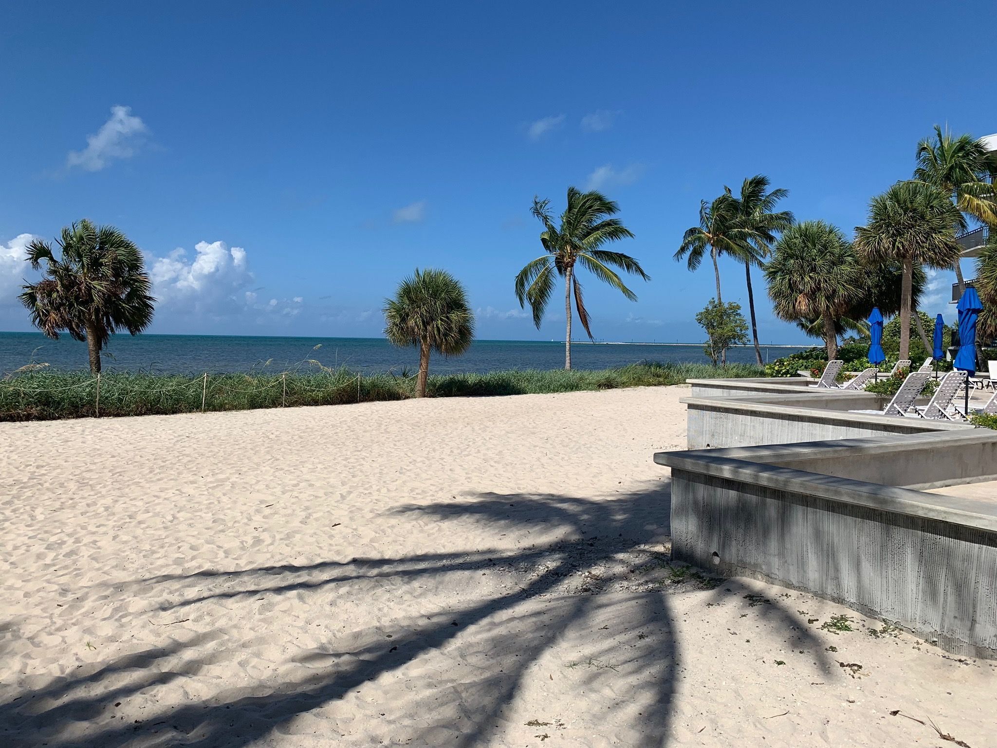 Una playa con palmeras, un área de piscina de concreto con sillas de descanso, y una vista despejada del océano.