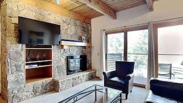 TV, fireplace, DVD player, ping pong