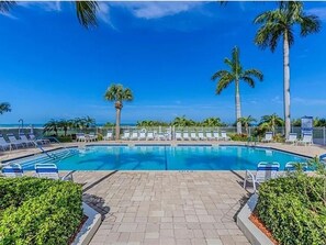 A swimming pool with lounge chairs and palm trees.