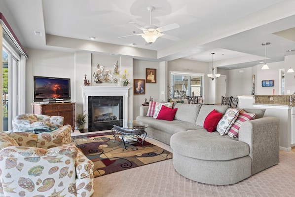 TV, fireplace, DVD player, books