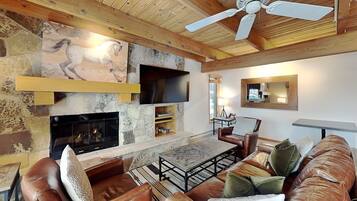 Tv, pejs, dvd-afspiller, bordtennisbord