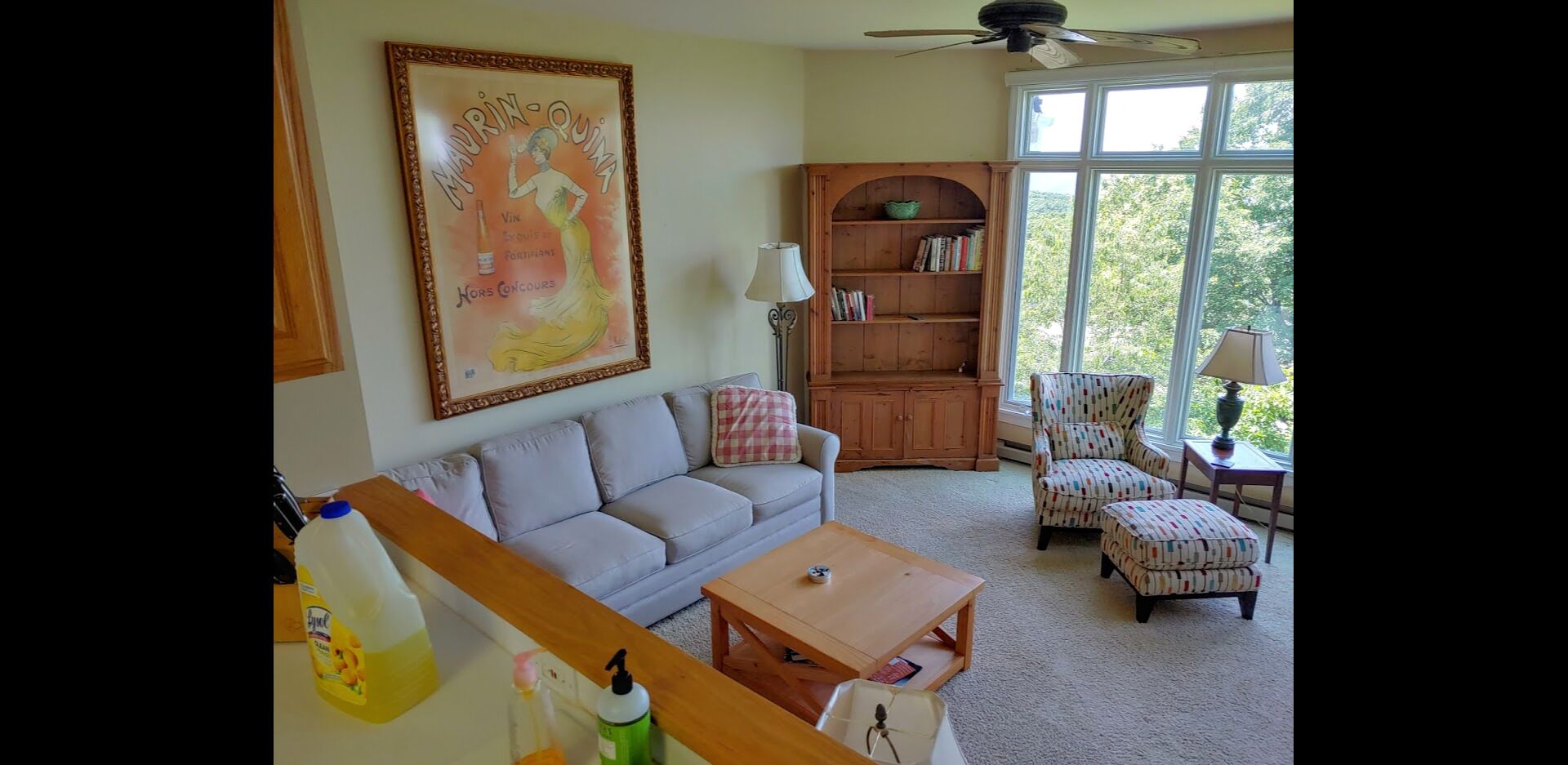 Safe, Secure, Super Clean Rural Retreat with Top of Mountain Views