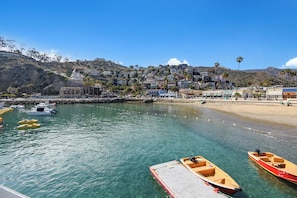 A coastal town with a marina, boats, and a hillside with buildings.