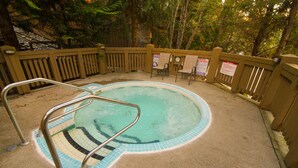 A swimming pool with a wooden deck, a metal pool ladder, and a wooden fence.