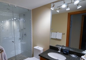 A modern bathroom with a glass-enclosed shower, a sink with a mirror, and a toilet.
