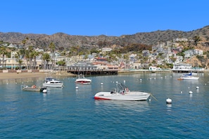 Stunning coastal town with a marina and a picturesque pier.