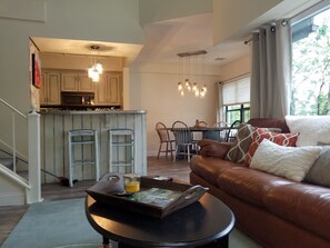 TV, fireplace, Netflix, ping pong