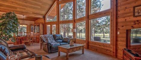 Una Smart TV, una chimenea, libros, una videoteca