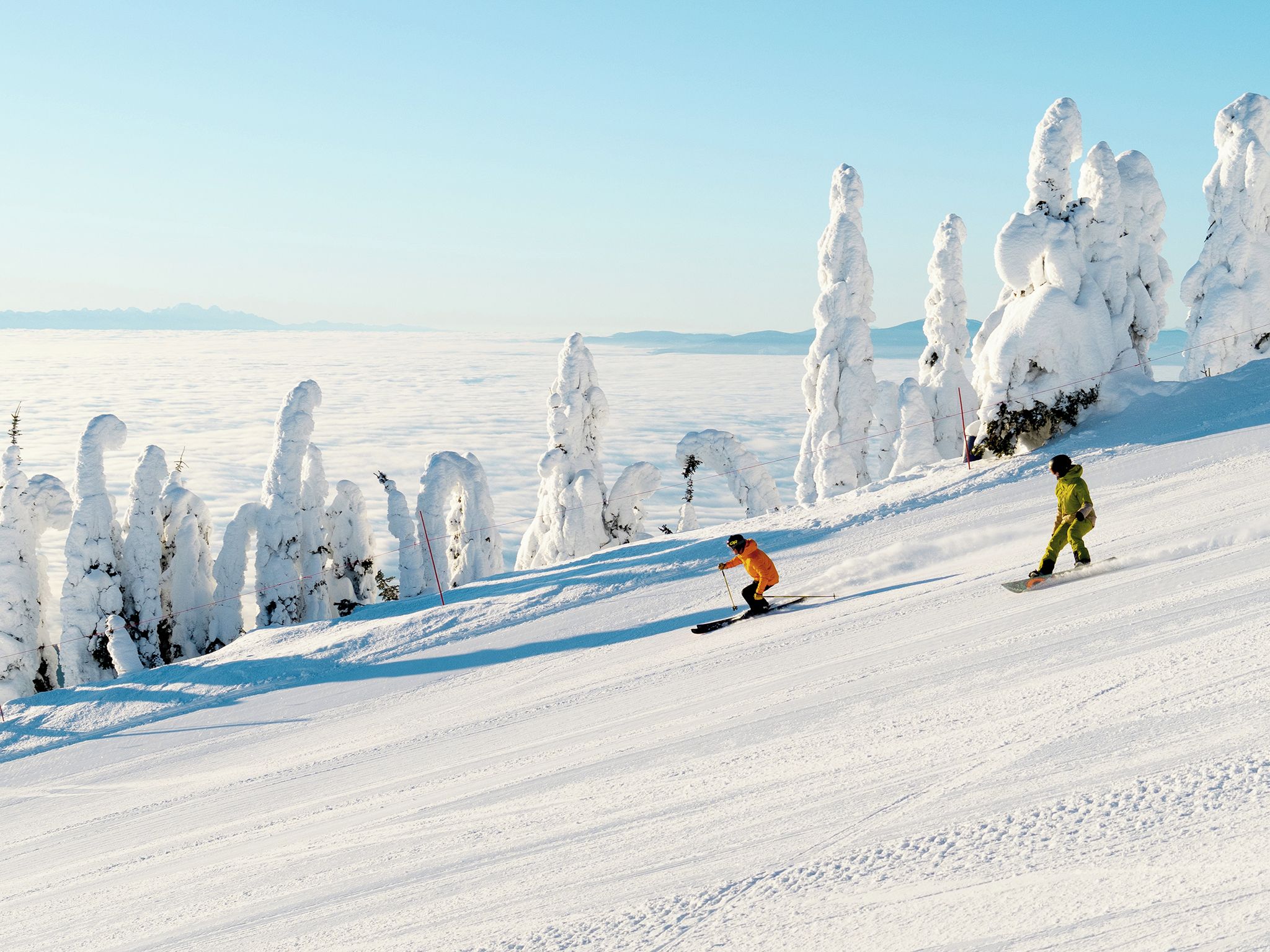Een besneeuwde piste met blauwe lucht, een skiënd persoon en met sneeuw bedekte bomen.