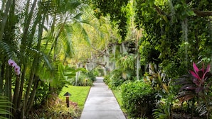 A concrete pathway flanked by lush tropical vegetation and hanging moss.
