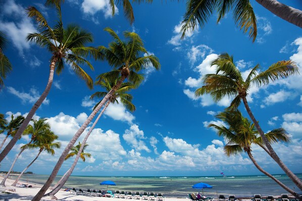 Beach nearby - Anchor Drop modern elegance upgrades throughout views of Atlantic Ocean (Key West)