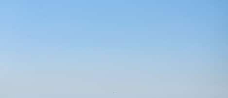على الشاطئ