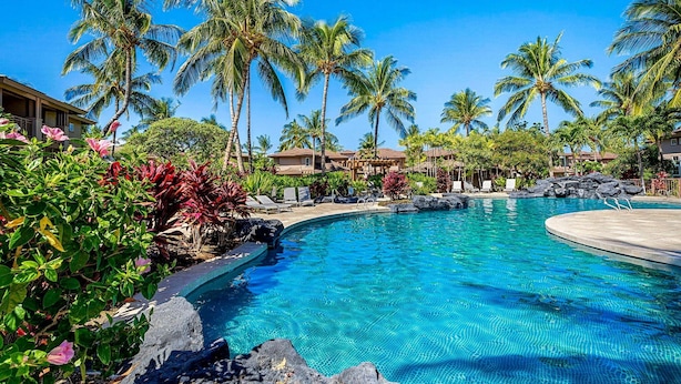 Une piscine d’un complexe hôtelier, bordée de palmiers, avec des chaises longues et un ciel d’un bleu limpide.