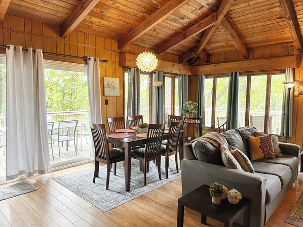 Televisor i llar de foc