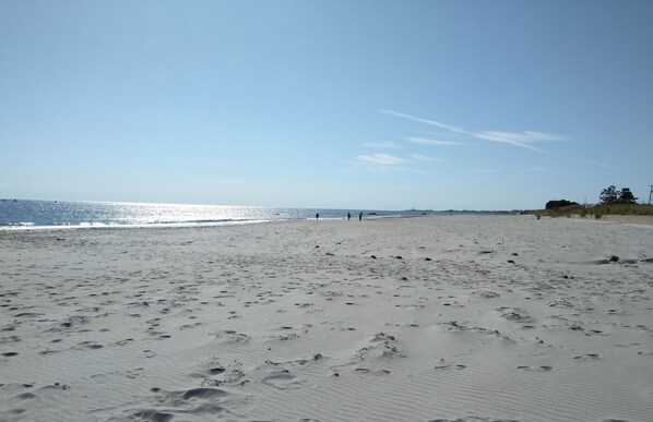 Playa en los alrededores y camastros