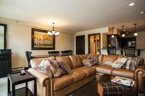 TV, fireplace, DVD player, books