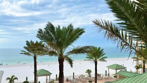 A beach view with a pool area, palm trees, and beach chairs.
