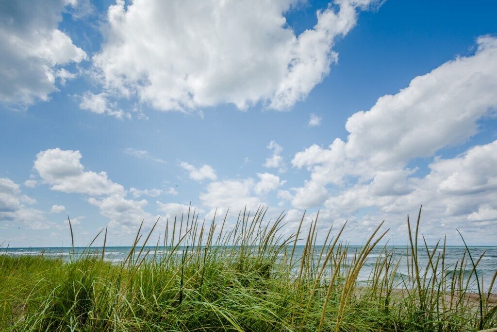 A beach with grass in the foreground and a clear sky with clouds.
