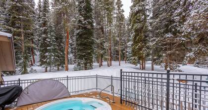 Cozy Ski-in/Walk-out condo, free wifi, parking, great value!
