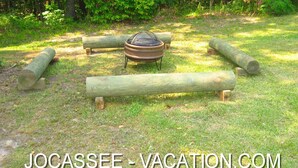 A campsite with a fire pit surrounded by logs and a grassy area.