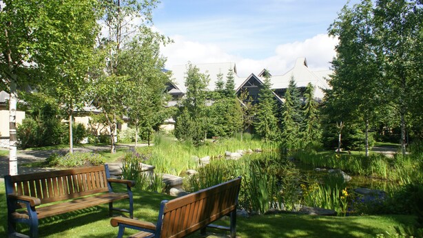 A park with two wooden benches, a pond, and houses in the background. - Convenient Village Location, Free Parking & WiFi, Jet Tub, Ground Floor (Whistler)